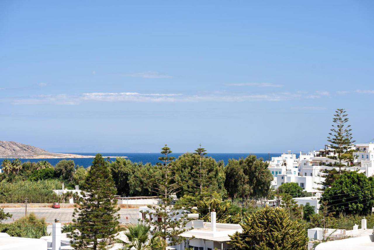 Hara'S Villa In Naousa , Paros Экстерьер фото